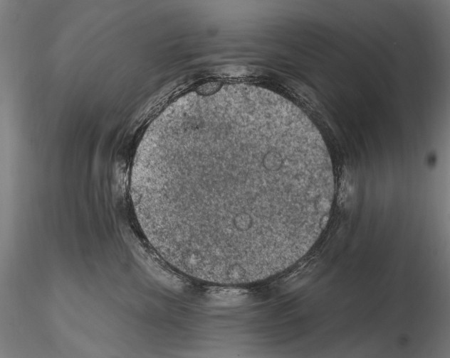 X0000114660476200912011139