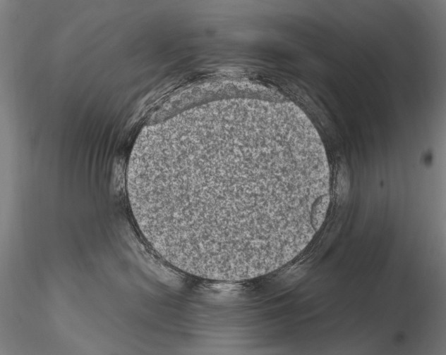 X0000114660478200912011139