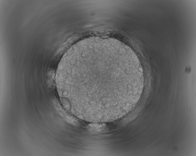 X0000114660480200912011140