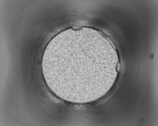 X0000114660481200912011139