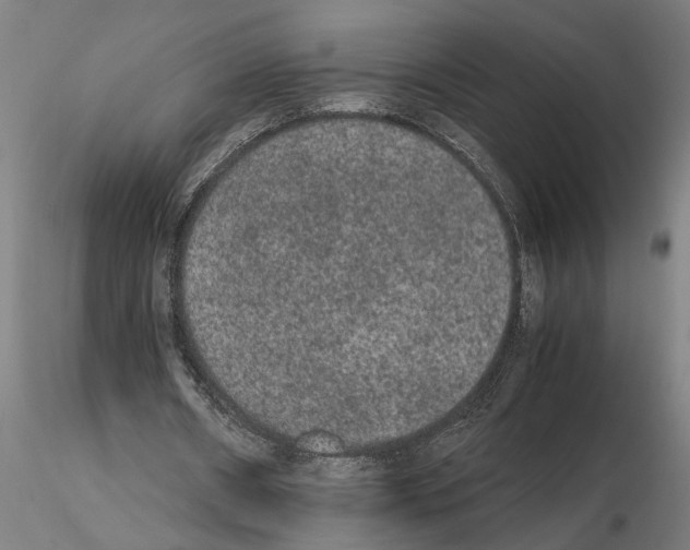 X0000114660482200912011138