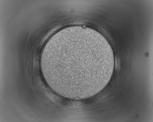 X0000114660483200912011138