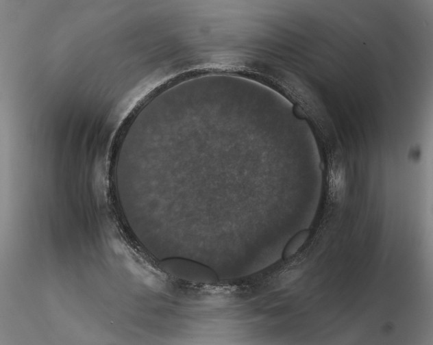 X0000114660484200912011138