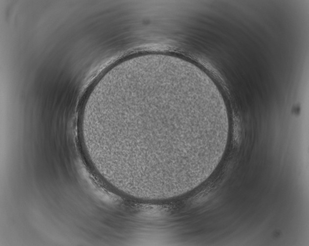 X0000114660486200912011138