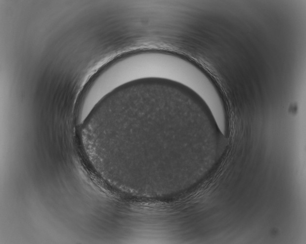 X0000114660488200912011138