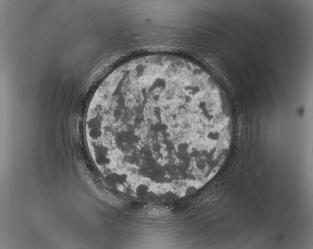 X0000114660491200912011138