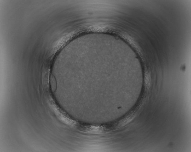 X0000114660493200912011138