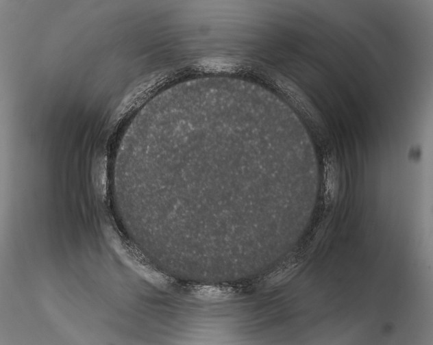 X0000114660494200912011138