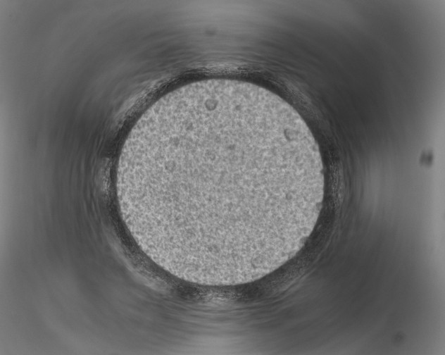 X0000114660495200912011138