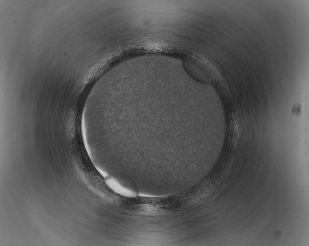 X0000114660496200912011138