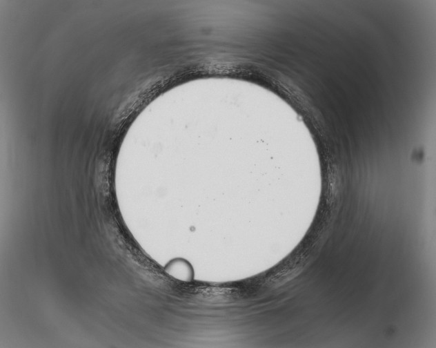 X0000114660497200912011138