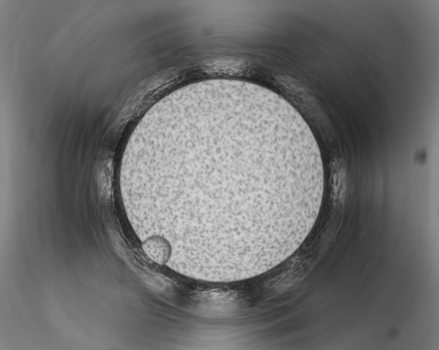 X0000114660498200912011138