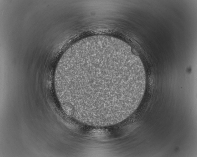 X0000114660499200912011138