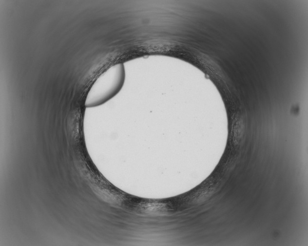 X0000114660501200912011138