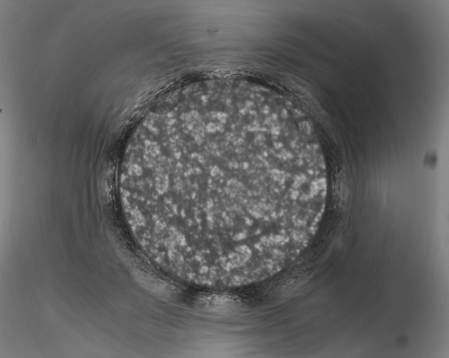 X0000114660503200912011138