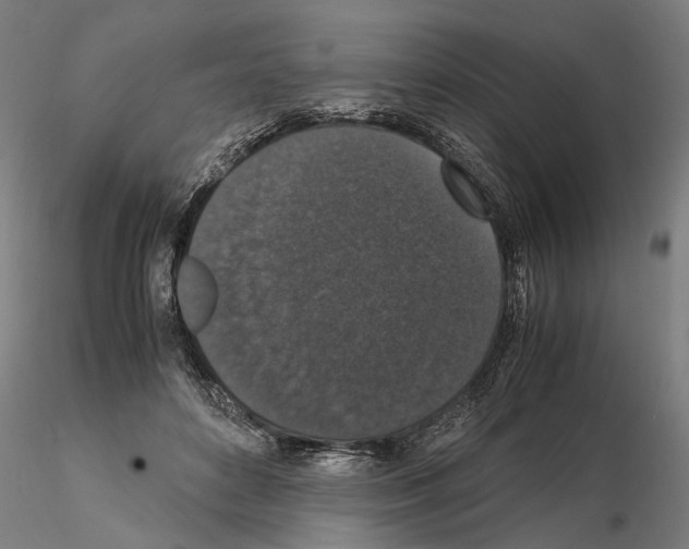 X0000114660504200912011138