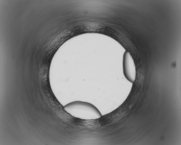 X0000114660505200912011138