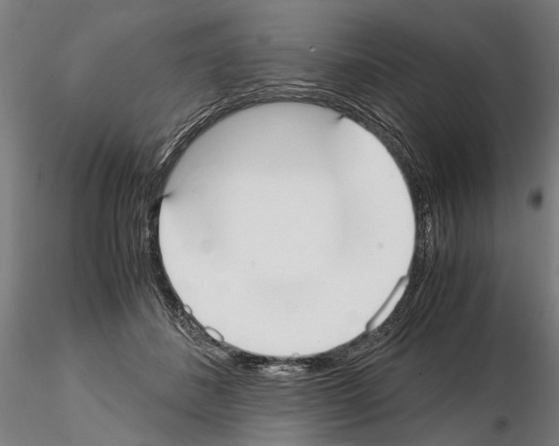 X0000114660508200912011138