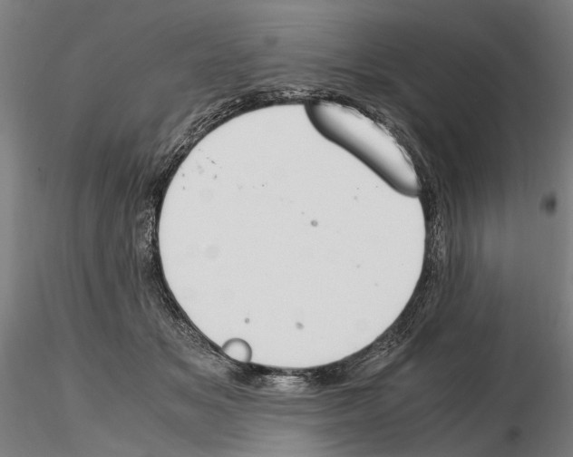 X0000114660509200912011138