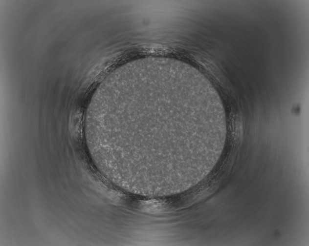 X0000114660511200912011138