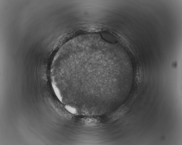 X0000114660512200912011138