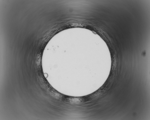 X0000114660513200912011138