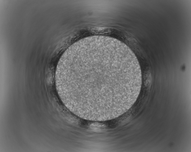 X0000114660515200912011138