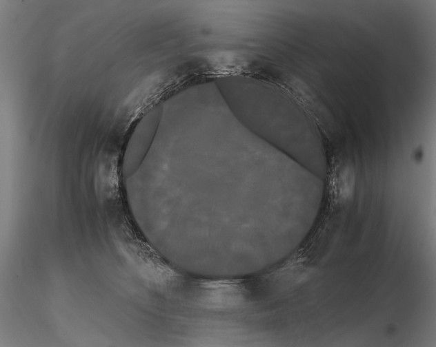 X0000114660516200912011138