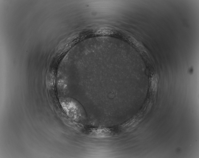 X0000114660517200912011138