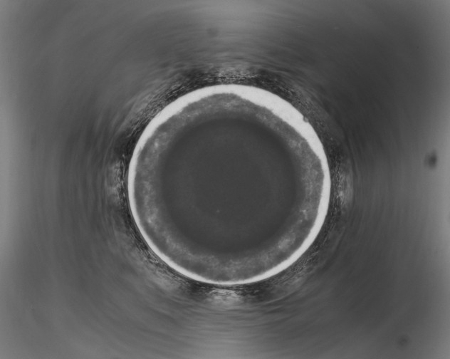 X0000114660519200912011138