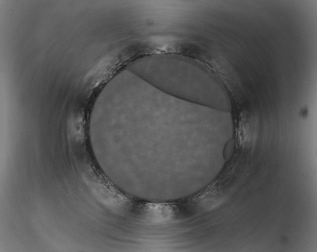 X0000114660520200912011138