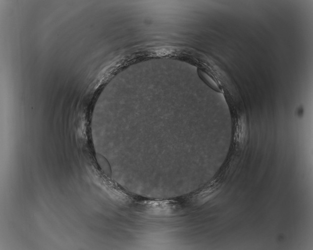 X0000114660524200912011138