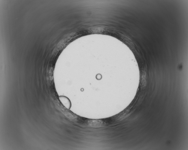 X0000114660525200912011138