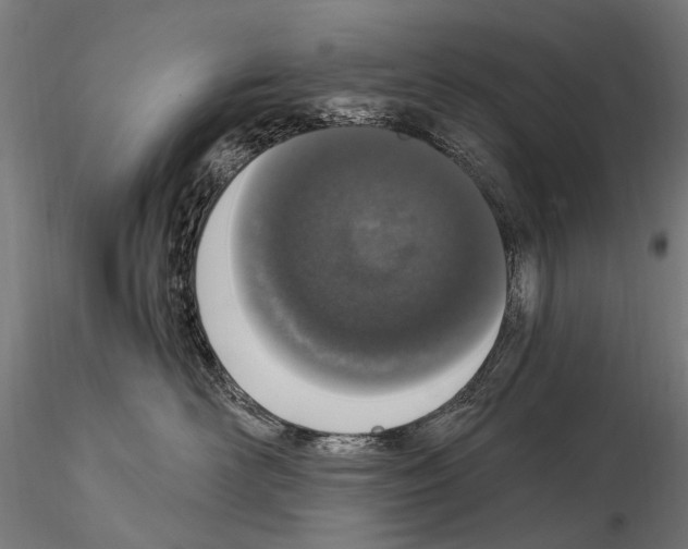 X0000114660526200912011138