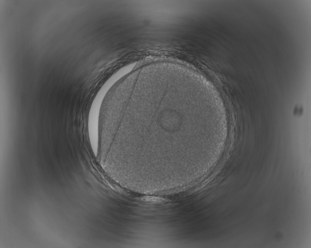 X0000114660528200912011138