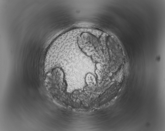 X0000114660529200912011137