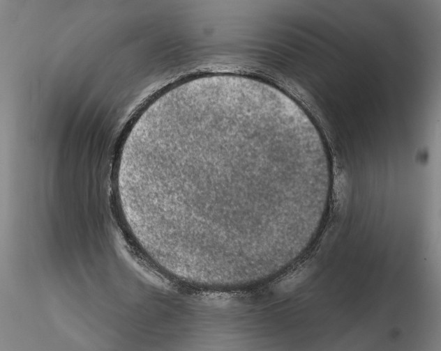 X0000114660530200912011137