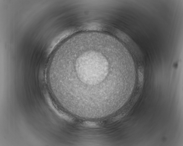 X0000114660534200912011137