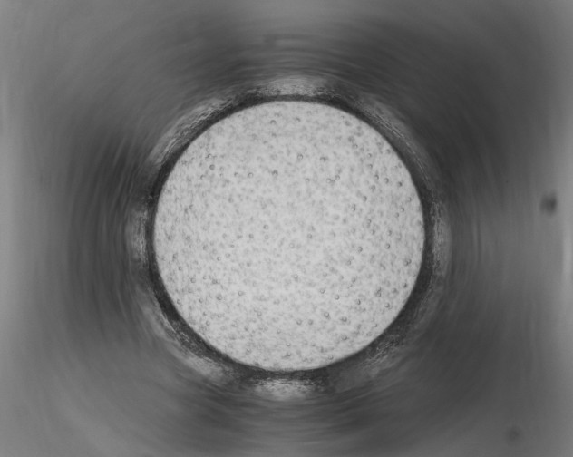 X0000114660537200912011137