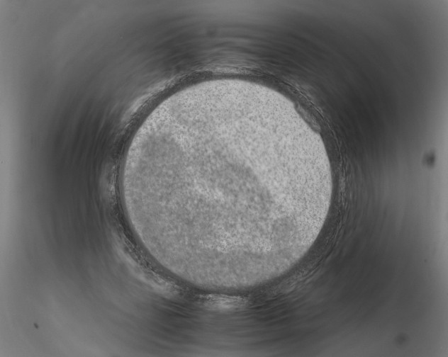 X0000114660539200912011137