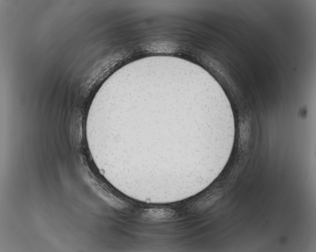 X0000114660541200912011137