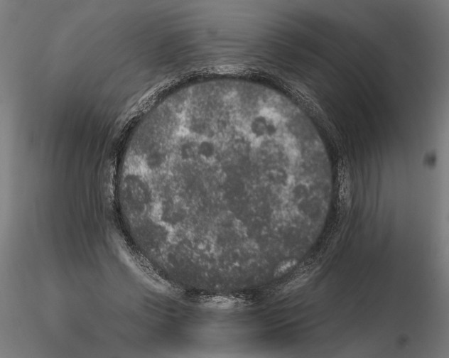 X0000114660542200912011137