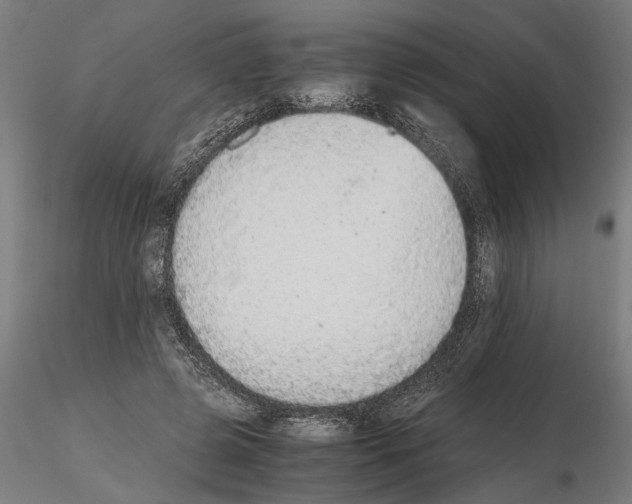 X0000114660545200912011137