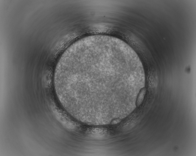 X0000114660546200912011137