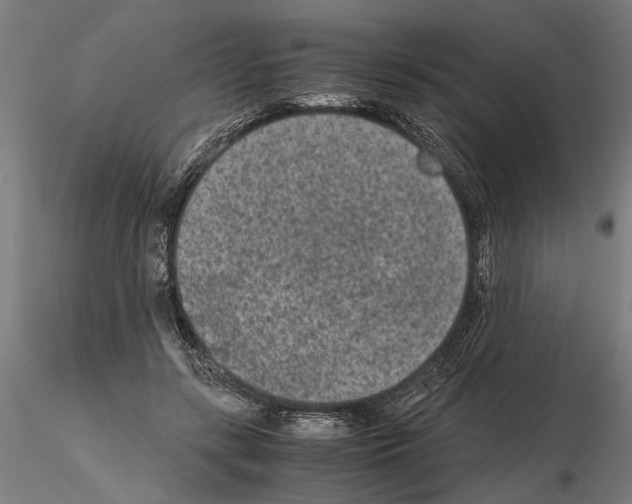 X0000114660547200912011137