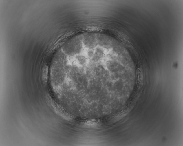 X0000114660550200912011137