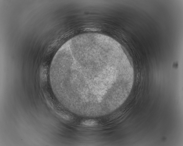 X0000114660551200912011137