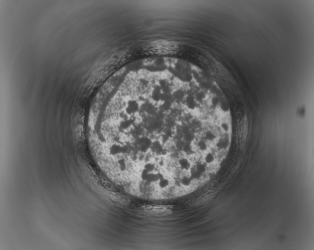 X0000114660553200912011138