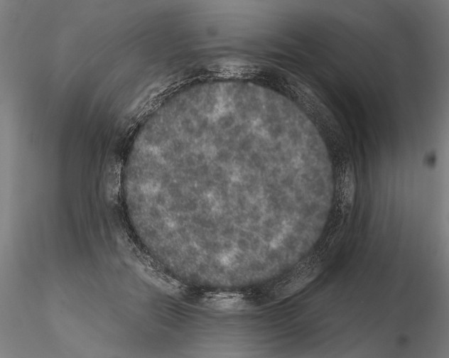 X0000114660554200912011138