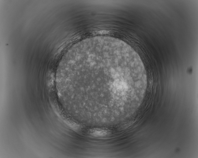 X0000114660555200912011138